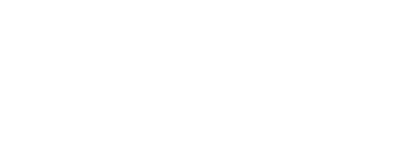 Bednarek Consulting Ltd