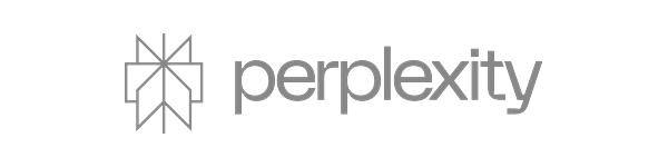 Perplexity